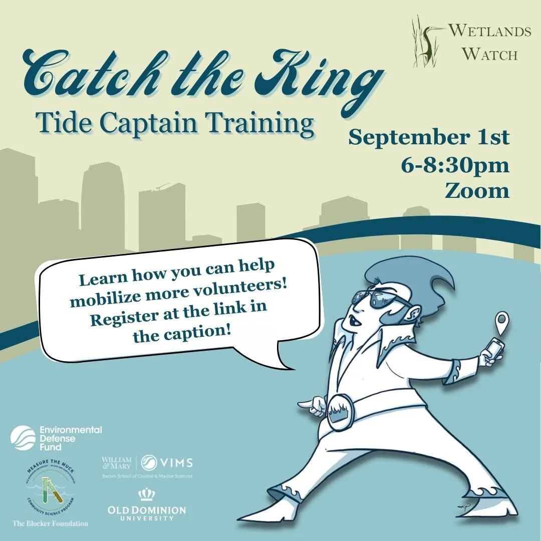 Virtual Tide Captain Training