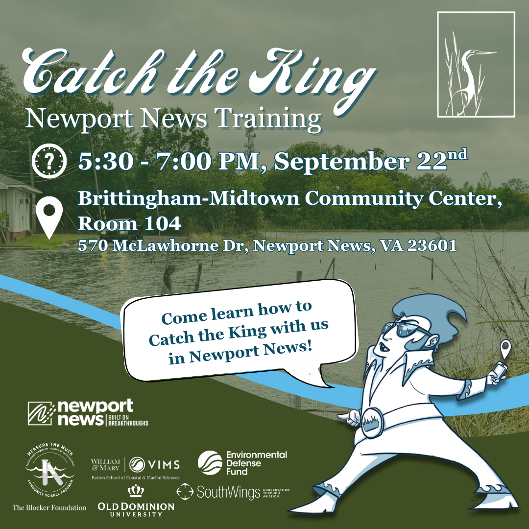 Newport News CTK Training