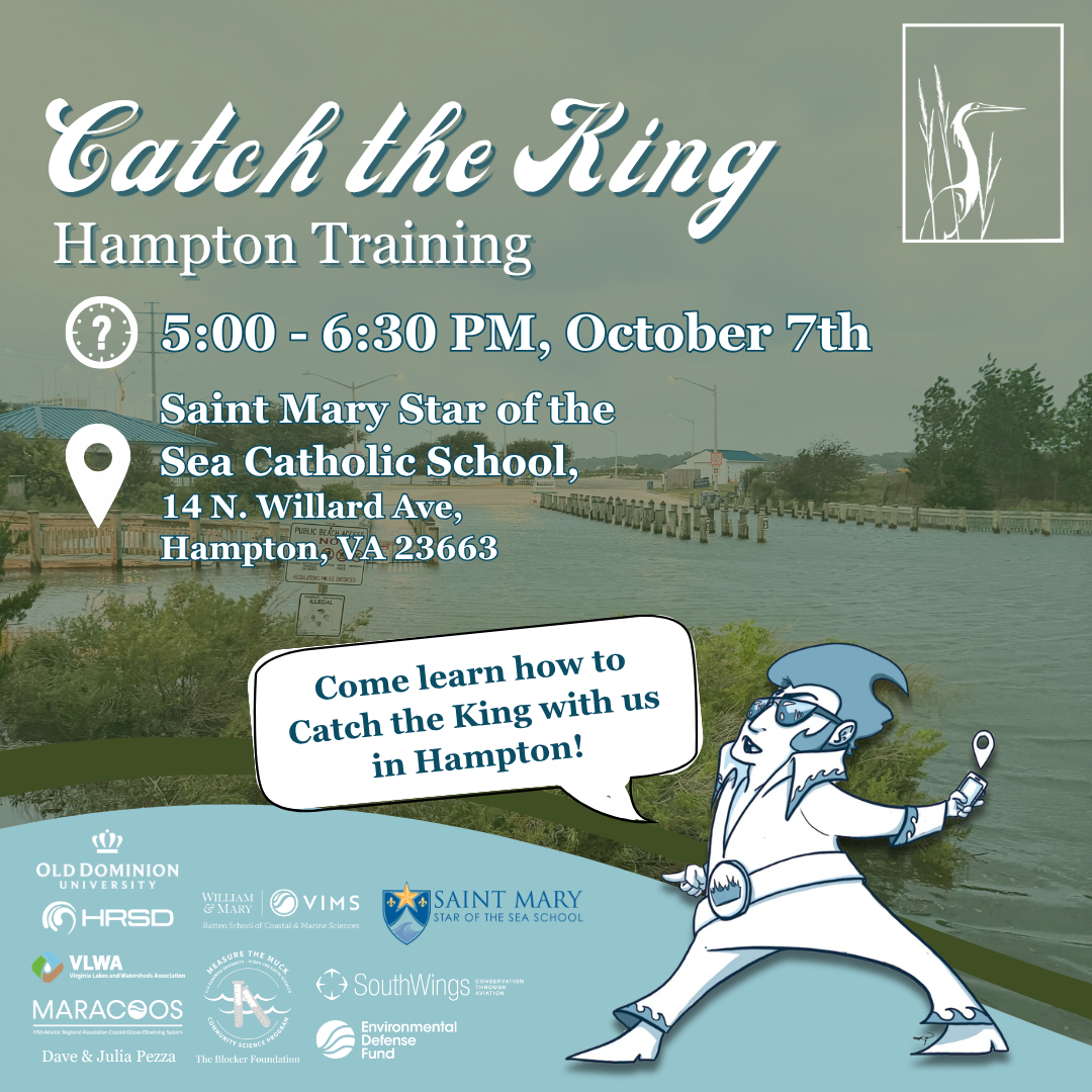 Hampton Training