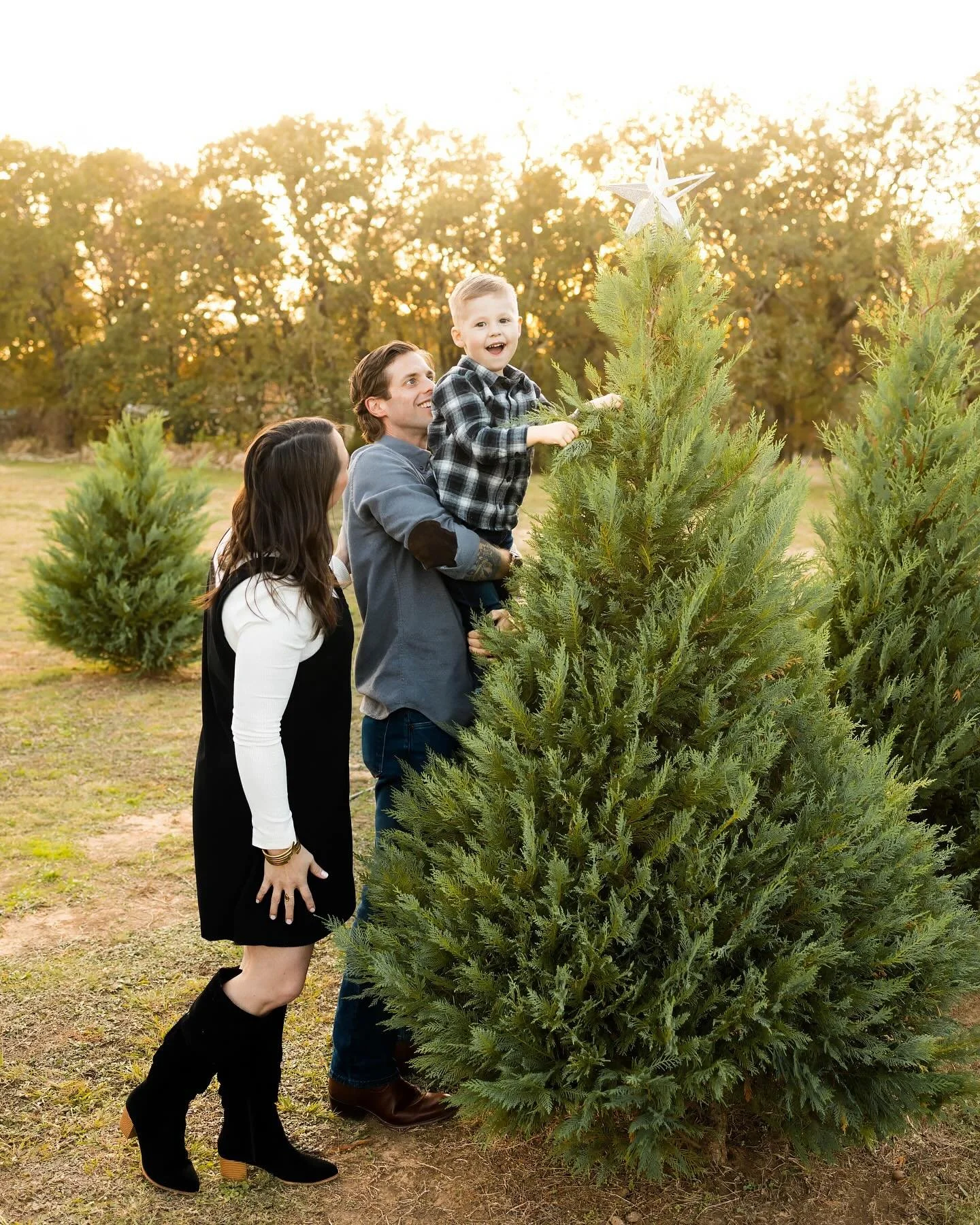 Putting the star on top of the tree 🥹 I loved this prop idea they brought!! 
P.s. BLACK FRIDAY SALE GOES LIVE AT 8pm TONIGHT 🫶🏼🫶🏼🫶🏼
.
.
.
.
,
.
.
.
#fortworthtexas #fortworthphotographer #fortworthphotography #fortworthfamilyphotographer #fo