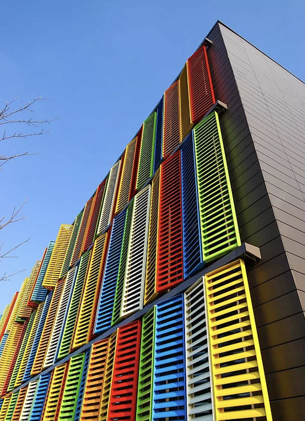 DE LISDODDE - MECHELEN