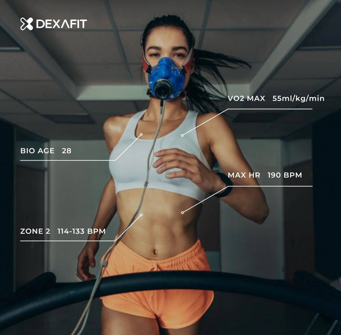 Unlock Your Fitness Potential with VO2 Max Testing! Discover your precise fitness level💪heart rate zones🫀and reduce the risk of chronic illnesses👌Take control of your health now ! 

#vo2max 
#fitnesslife 
#fyp 
#dexafitboston 
#goals 
#health 
#mo