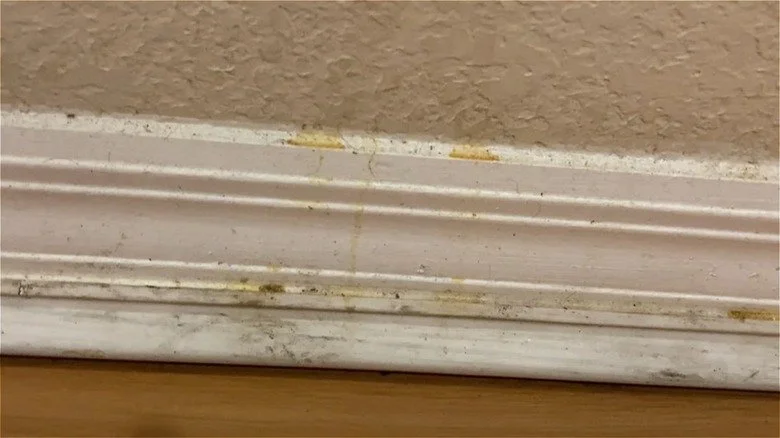 Baseboard Cleaning