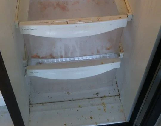 Fridge Deep Clean
