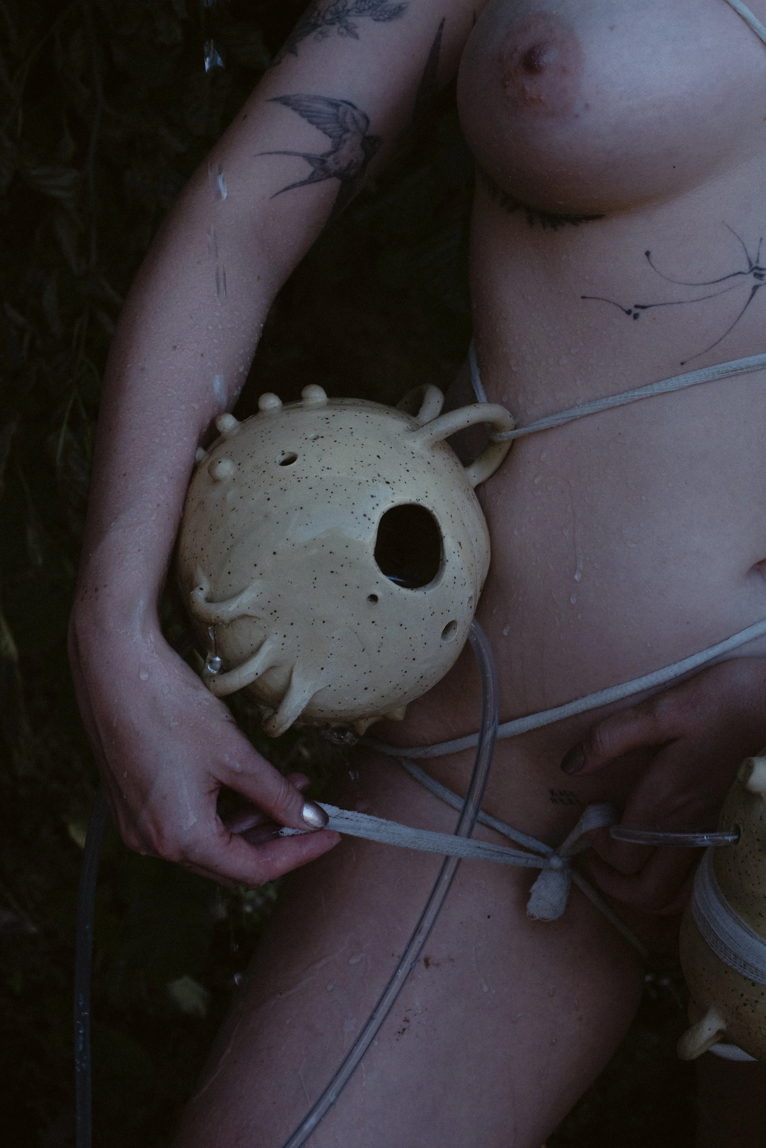 © Jaqueline Louan