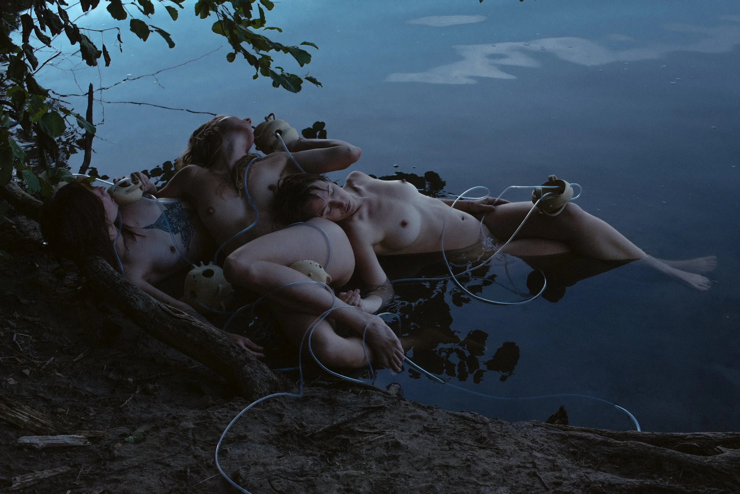 © Jaqueline Louan