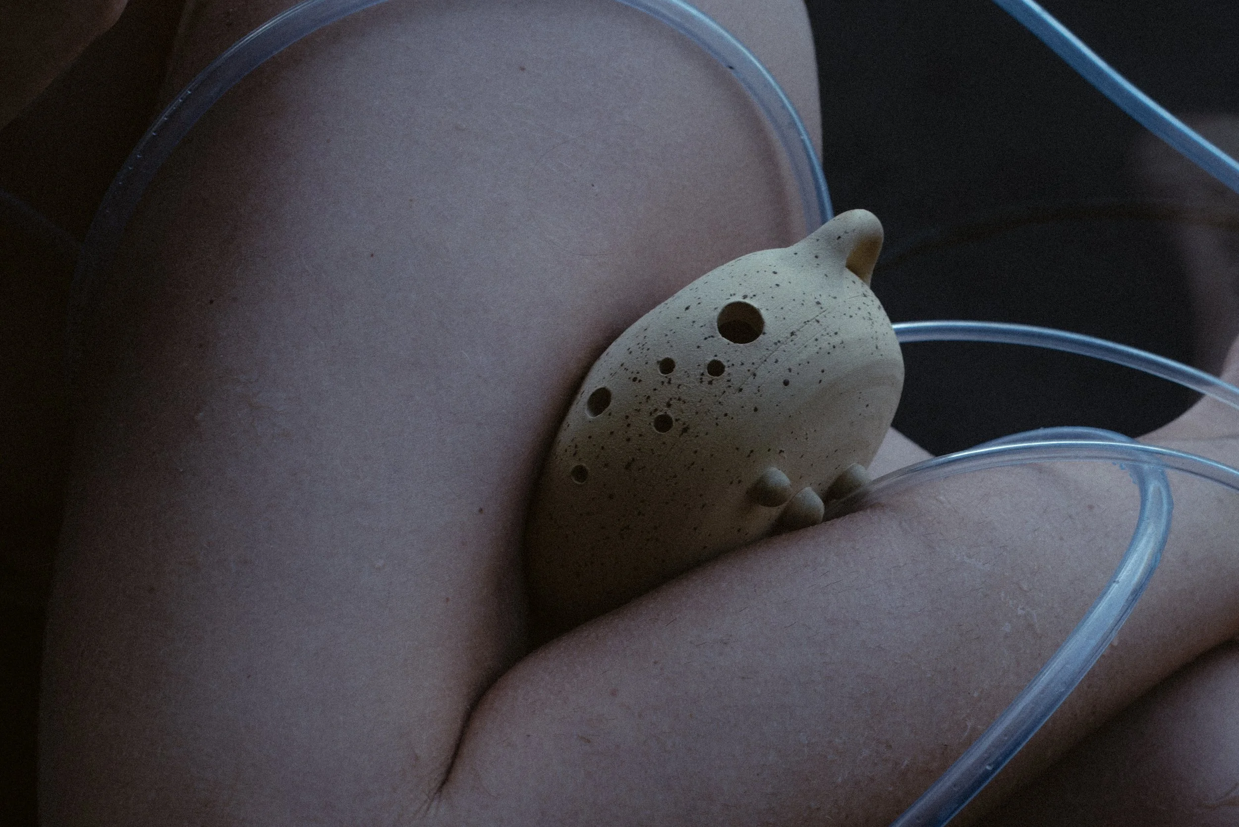 © Jaqueline Louan