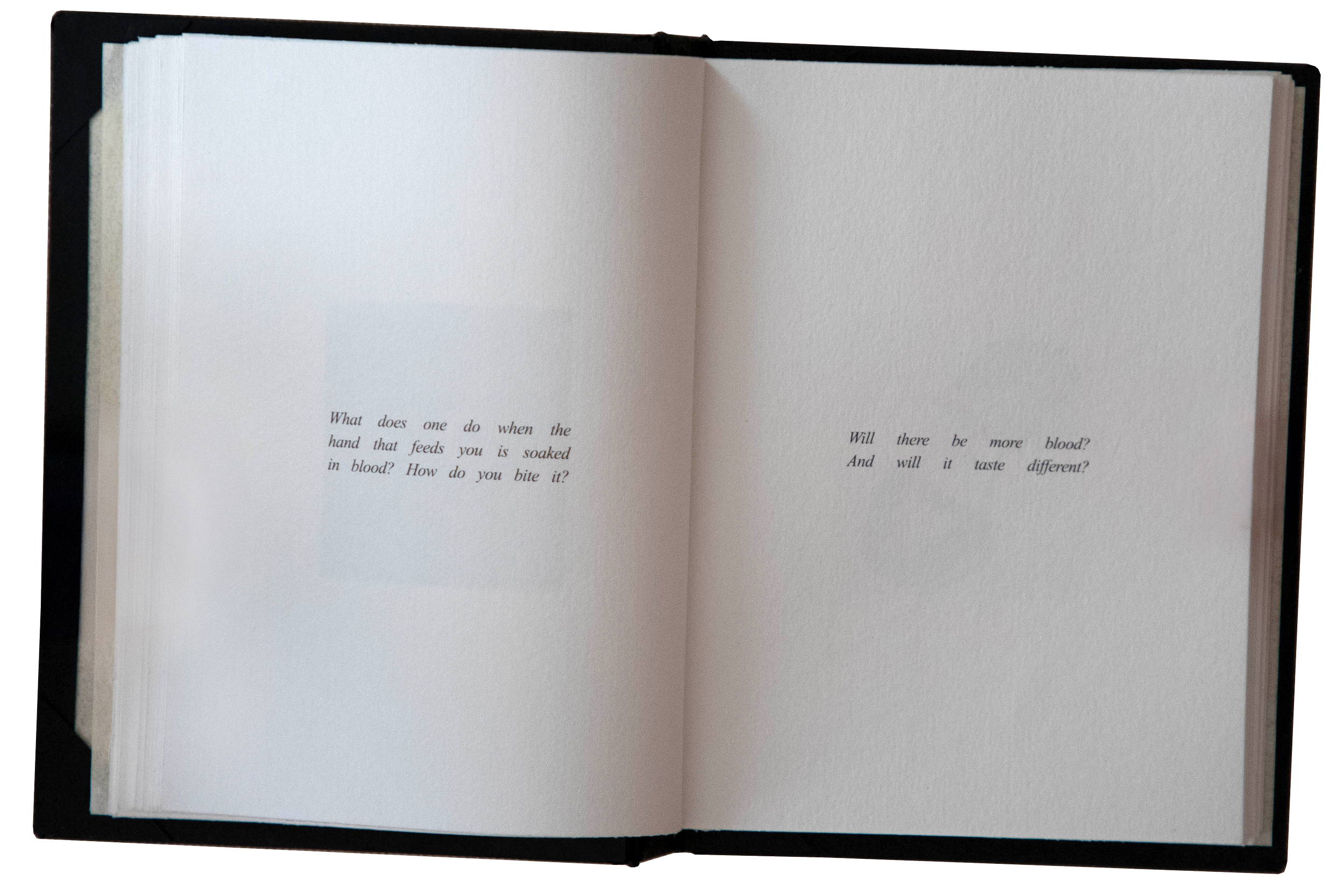 IMG_0613 copy 2.png