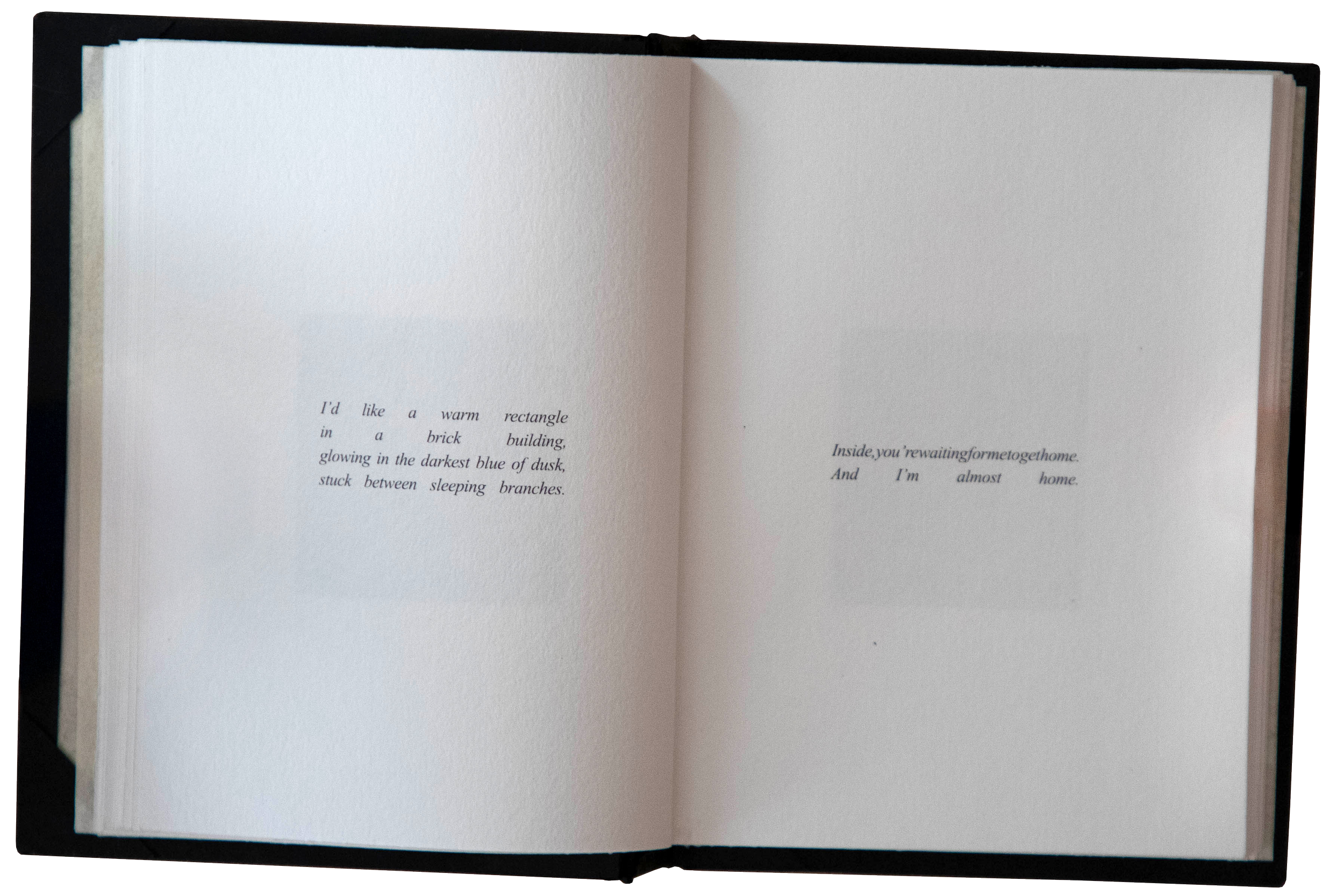 IMG_0609 copy 2.png