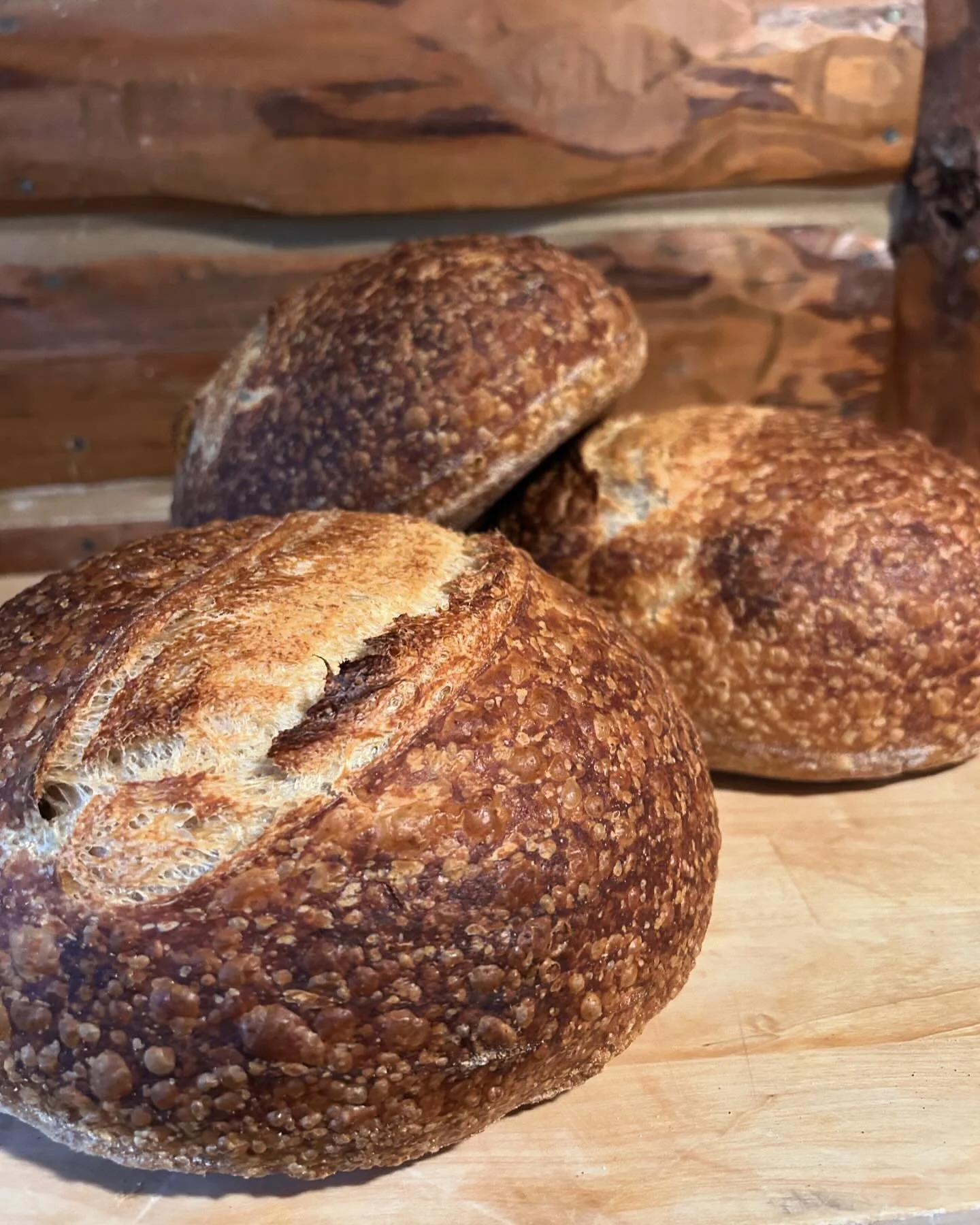 Sourdough loaves have been known to camouflage in their natural environment, the log cabin #sourdough #tetonvalley