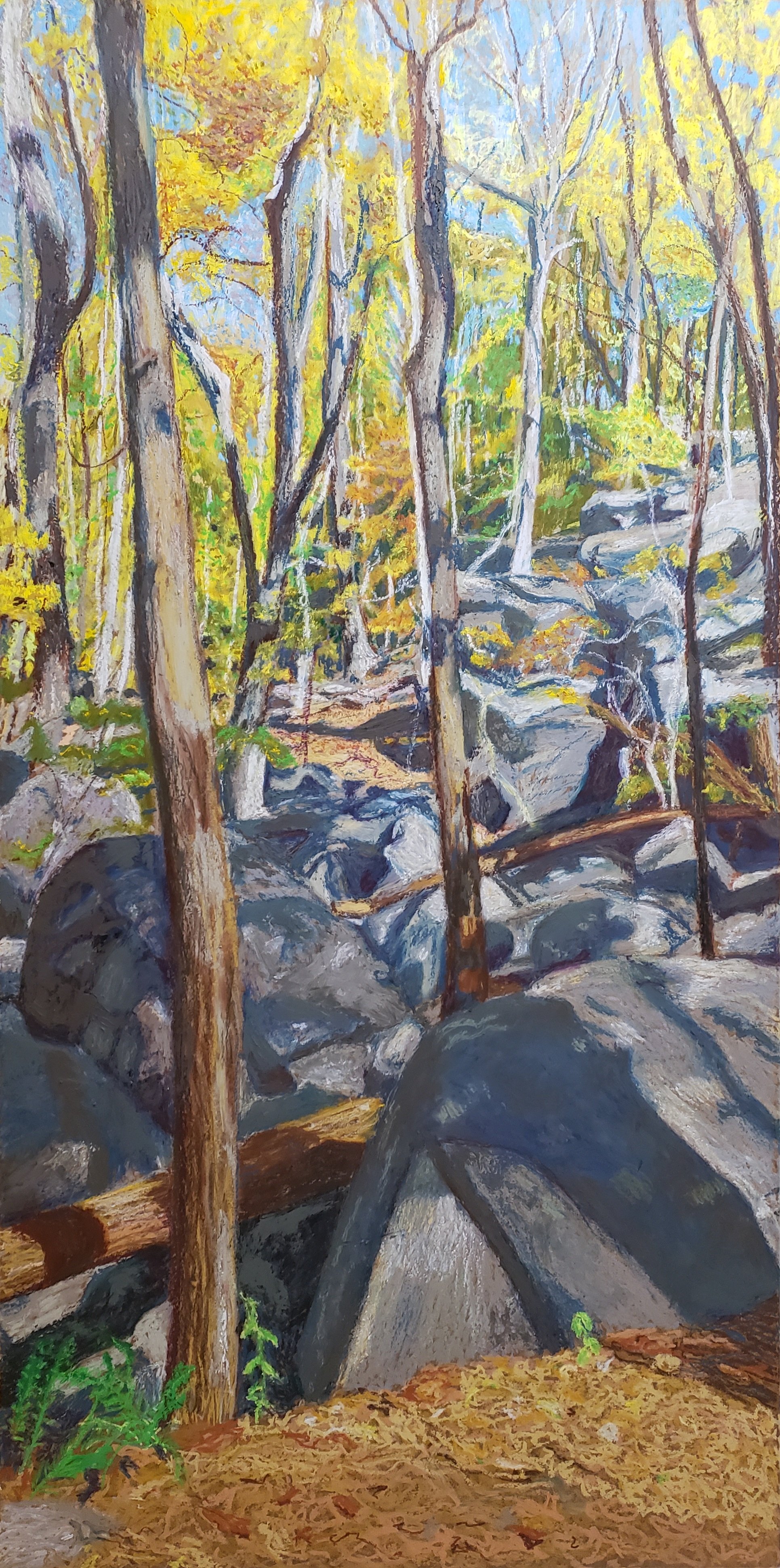 Light in Forest (2).jpg