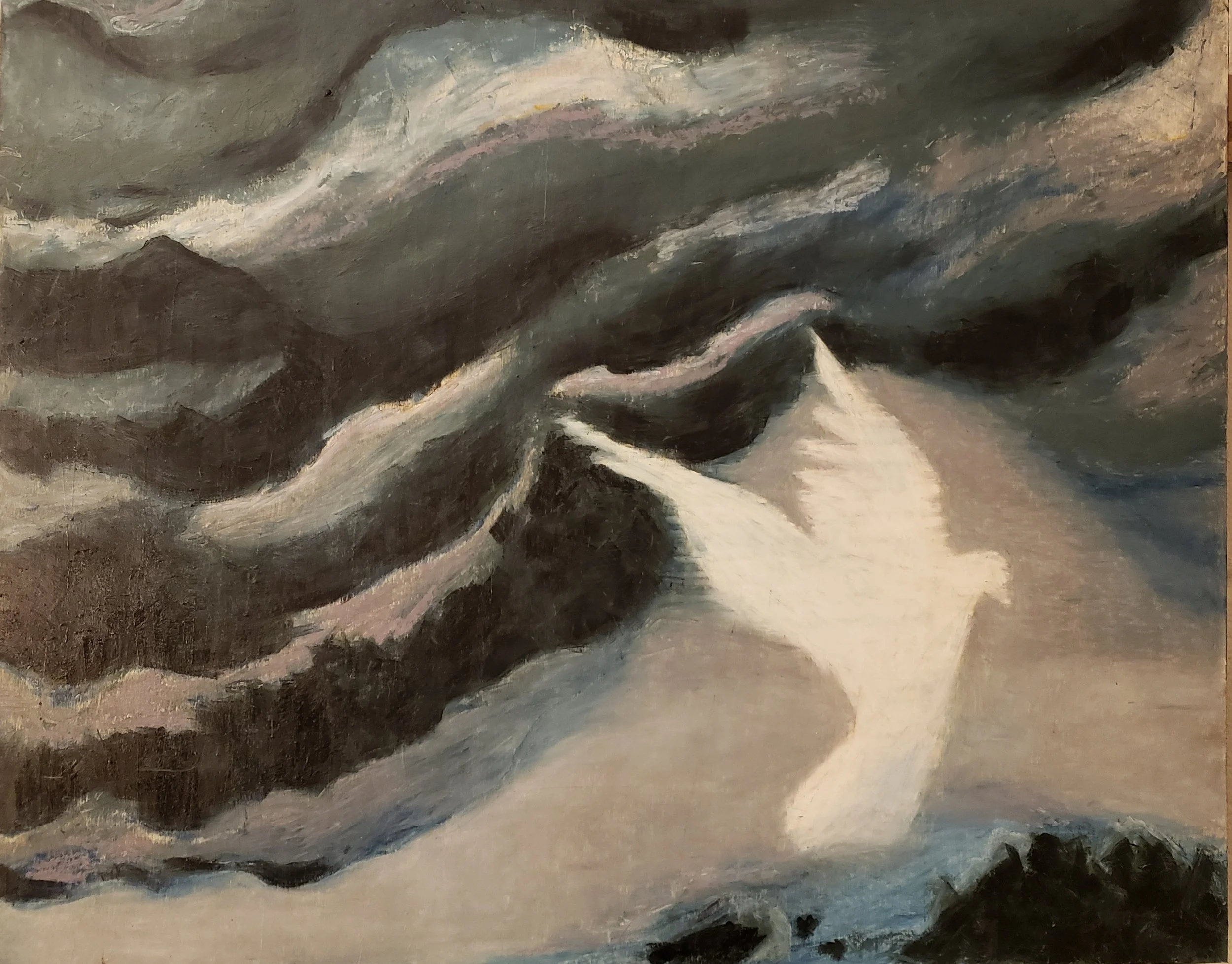 Dove and Dark Sky.jpg