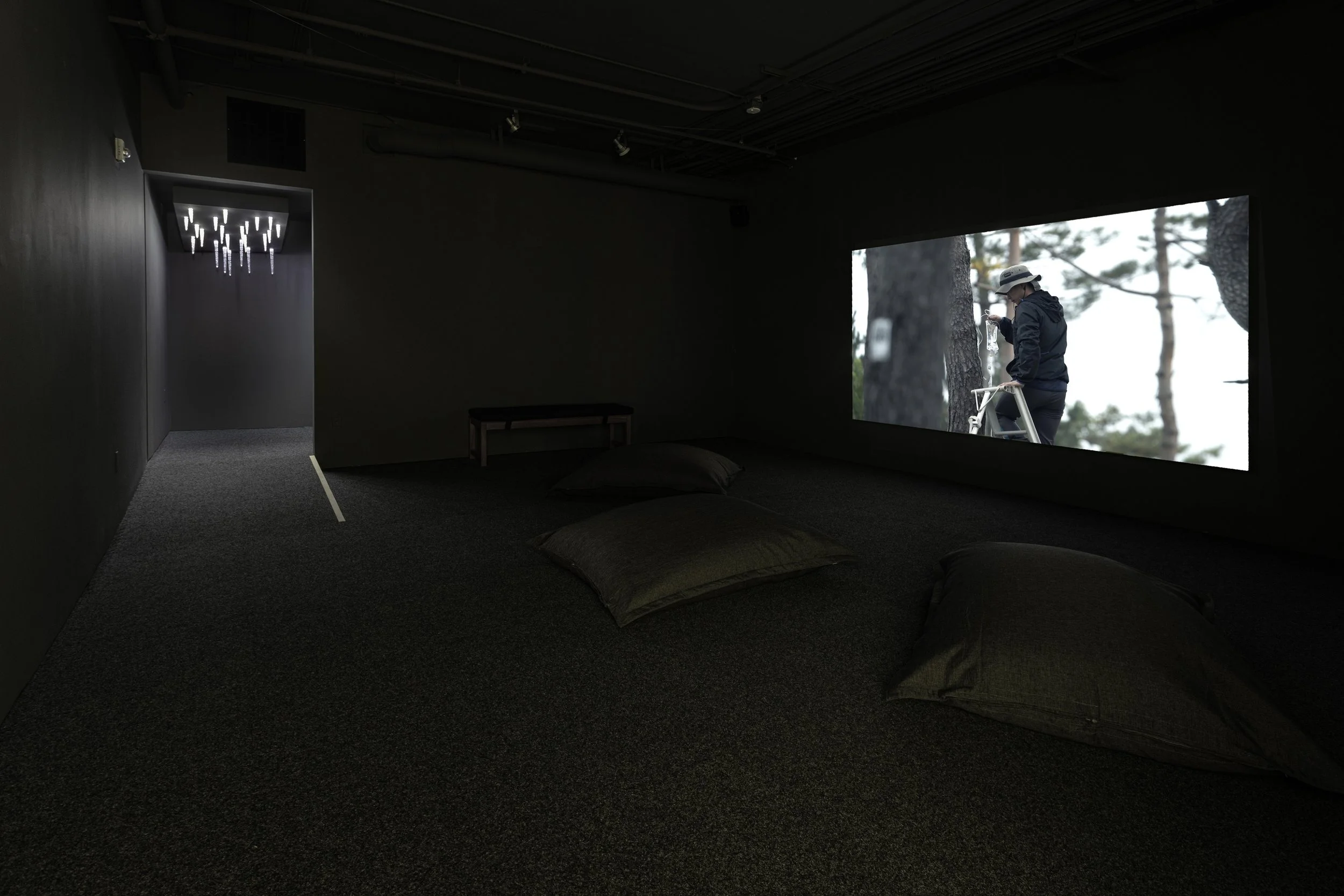 Dark art installation room with a video screen showing a person working outdoors. Large cushions and a bench are on the floor. The entrance features hanging lights.
