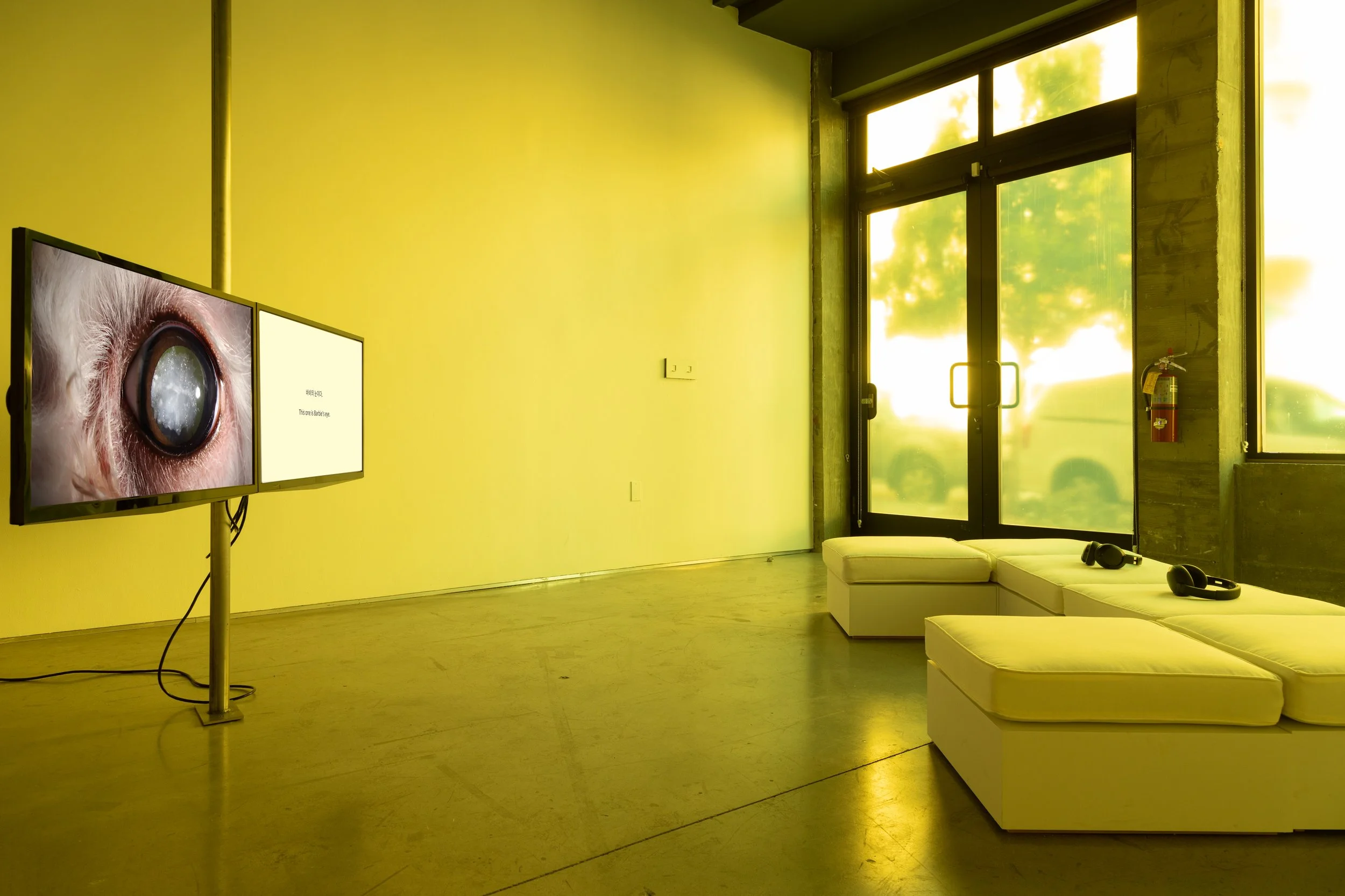 Exhibit room with two digital screens displaying an eye and text, yellow lighting, white sofas, headphones, large windows, and a fire extinguisher on the wall.