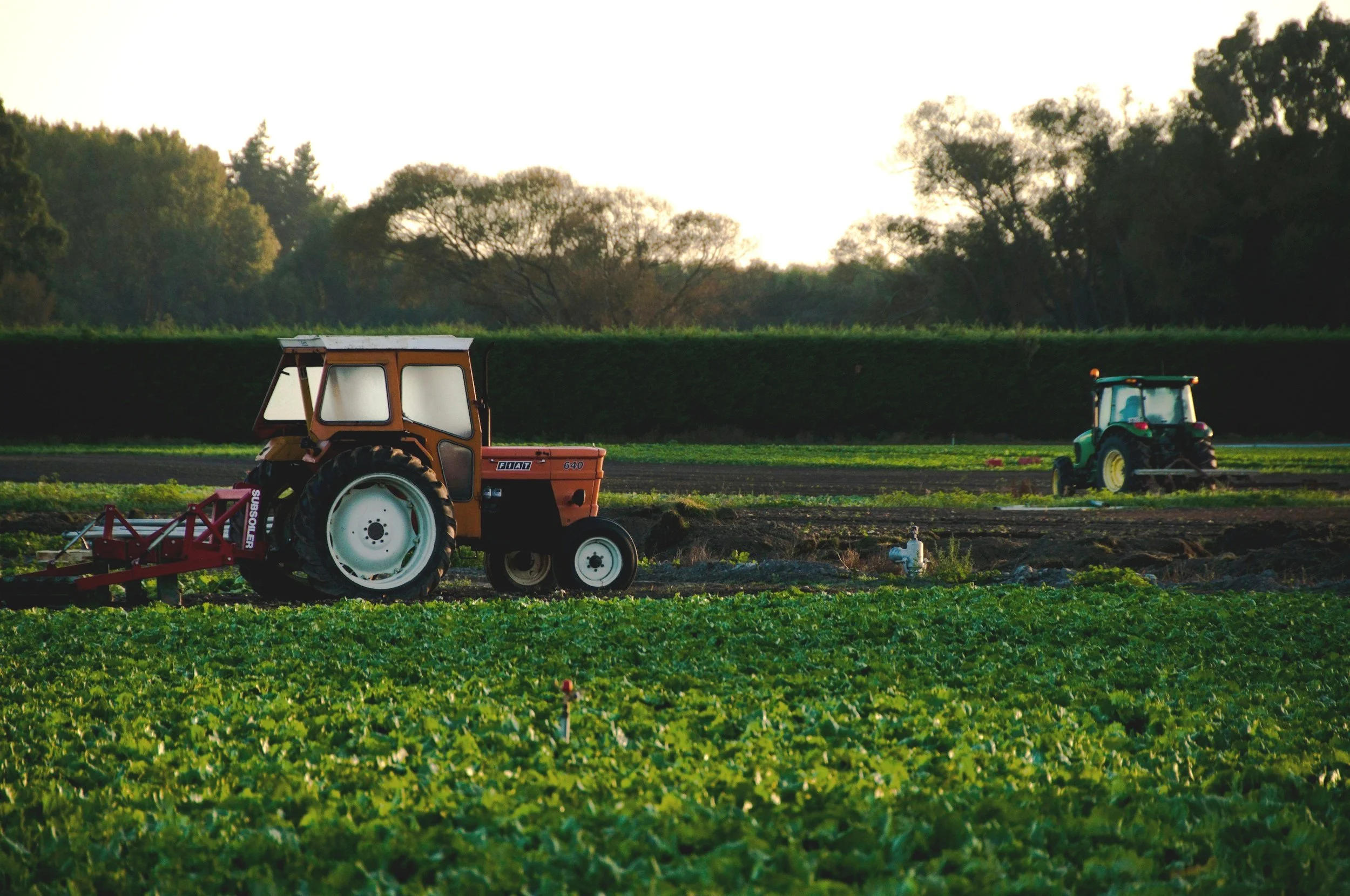 Meeting the Moment: How America's Specialty Crop Industry is Transforming Challenges into Competitive Advantages&nbsp;