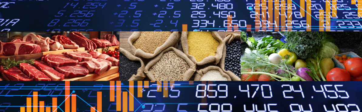 SPECCX: The Virtual Terminal Market Redefining Commodity Trading