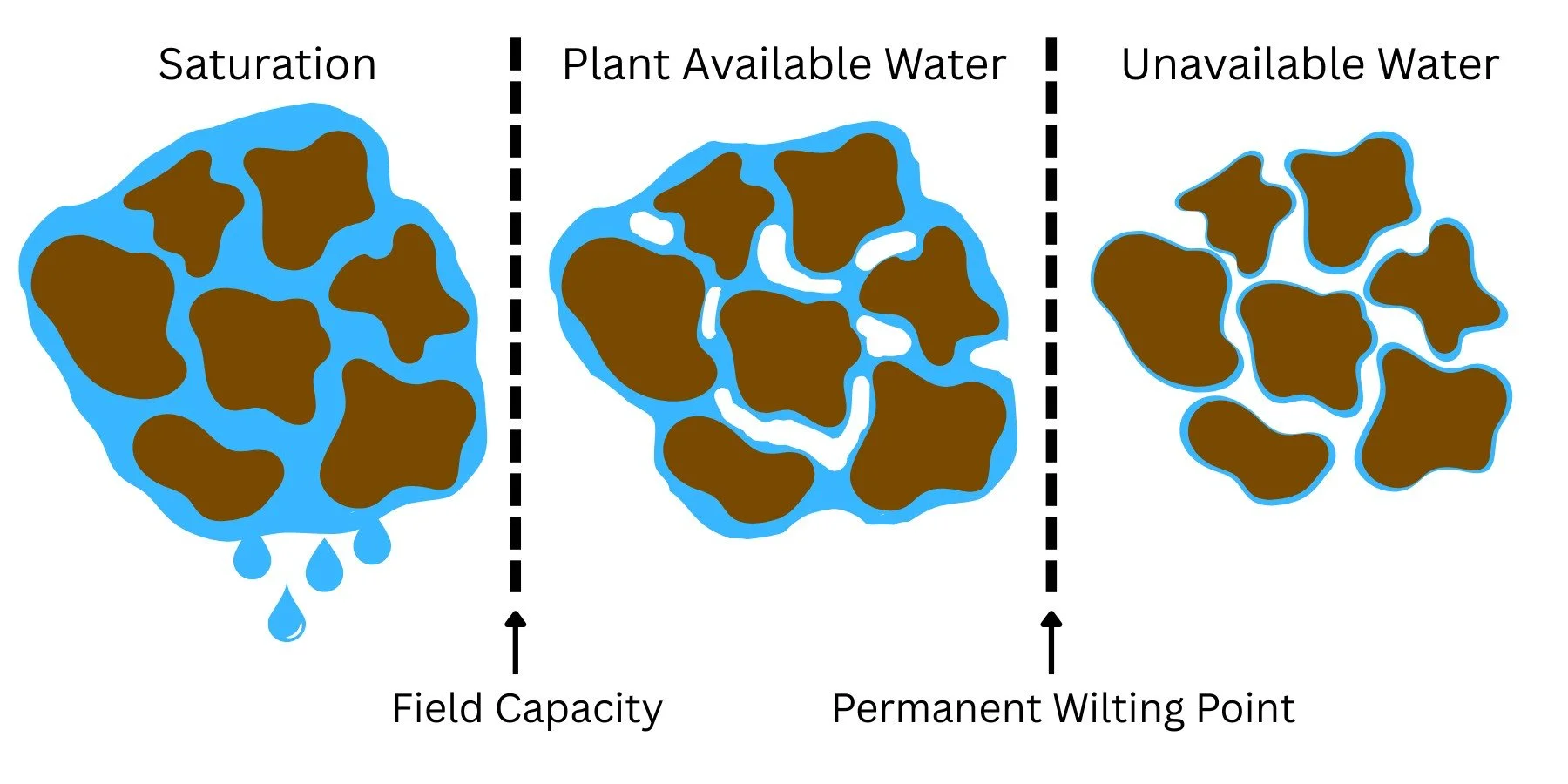 New extension article: Diving Deep into Plant Available Water