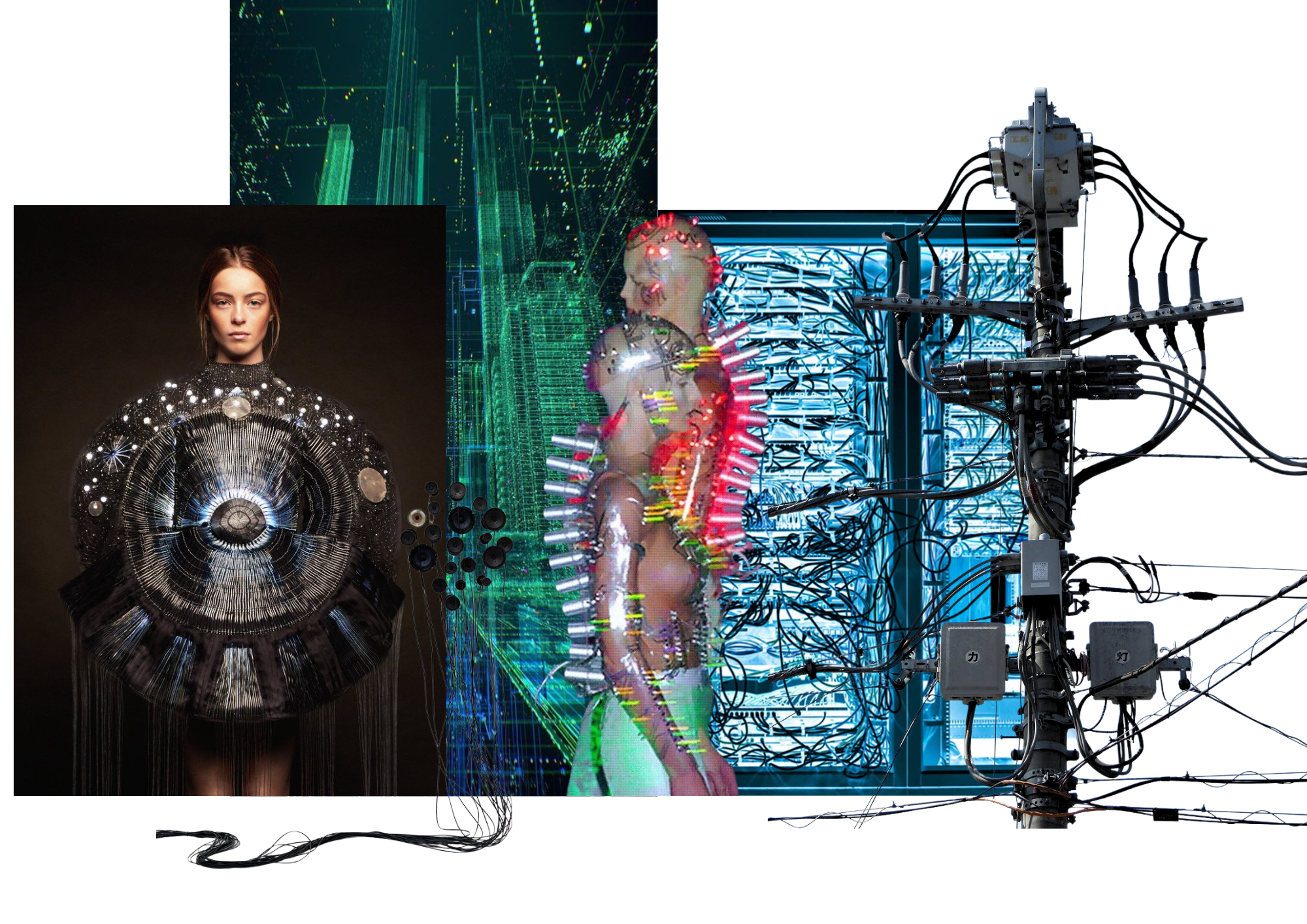 Collage 1.png