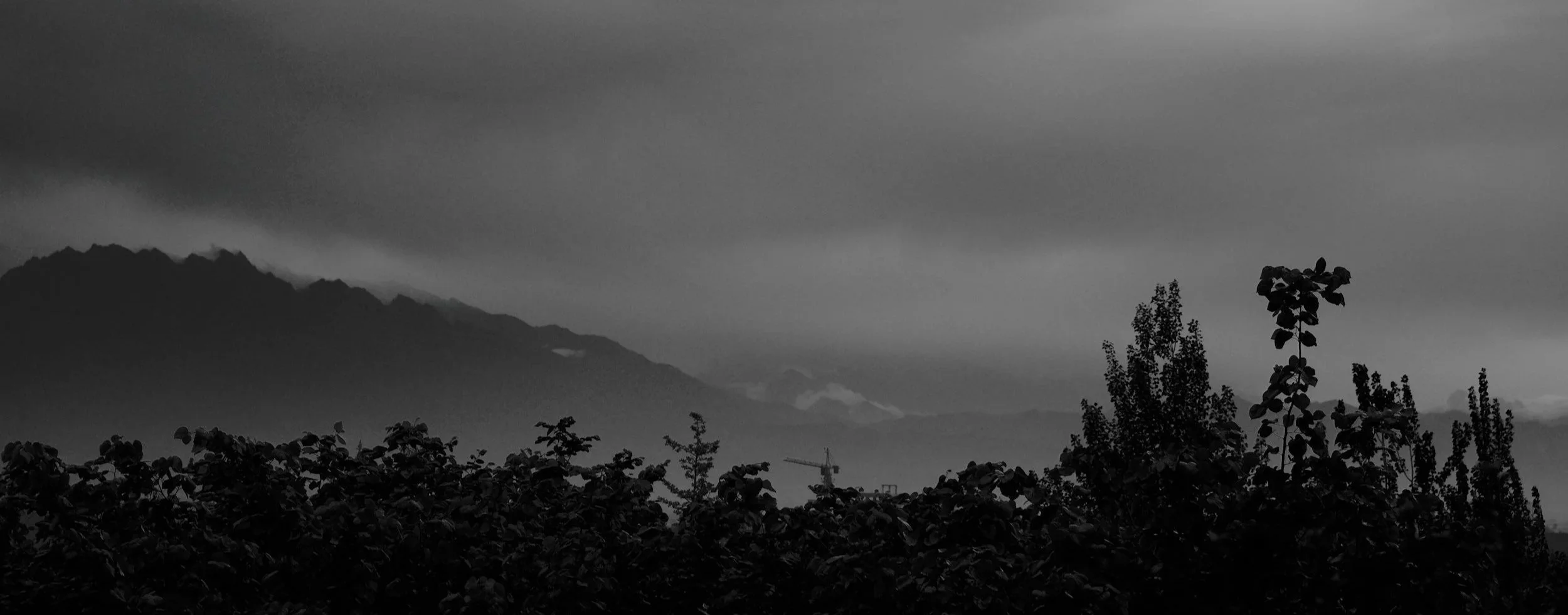 Therapy with Monica / Monica Chiorascu