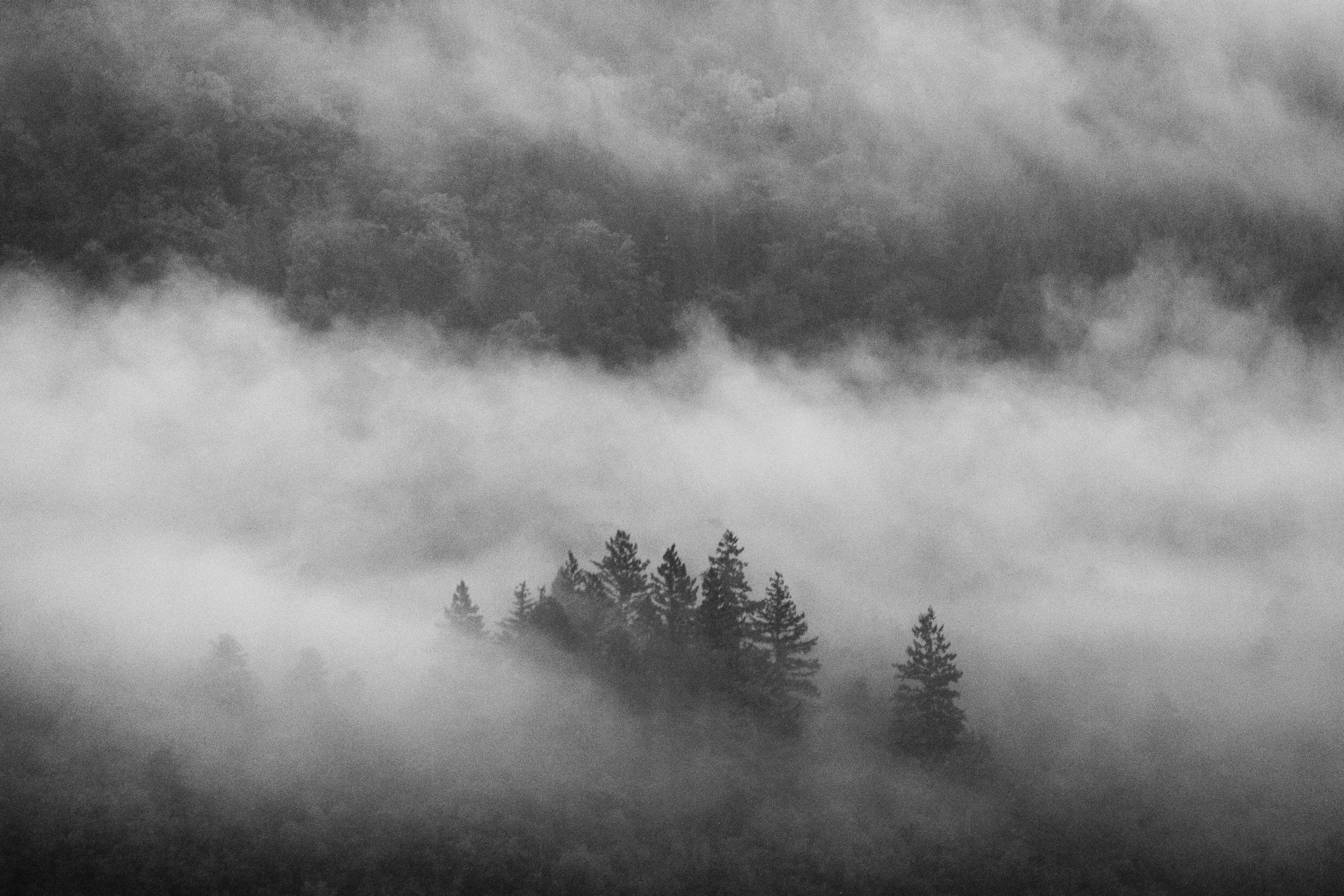 Therapy with Monica / Monica Chiorascu