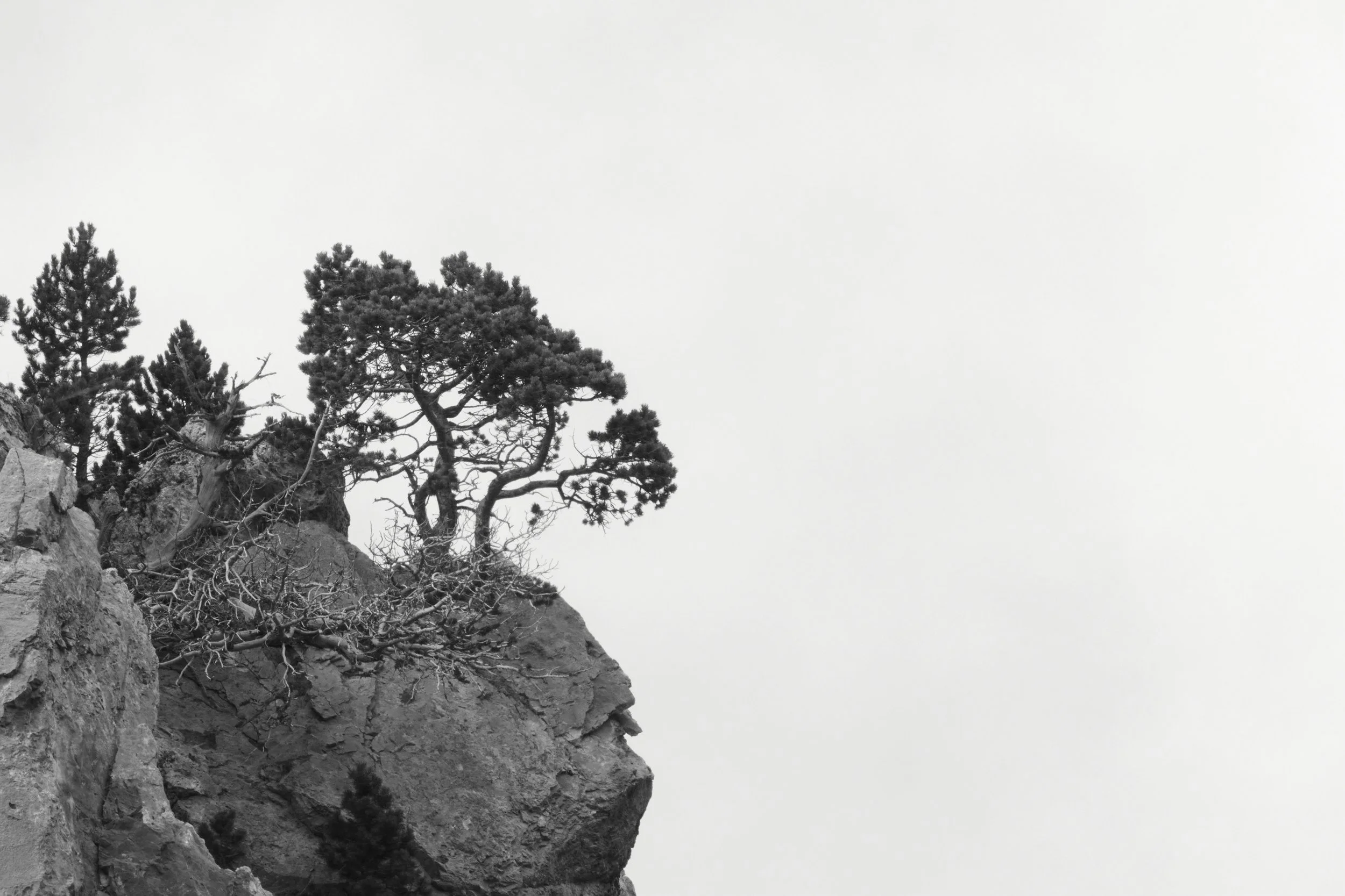 Couples Therapy vs Relationship Therapy