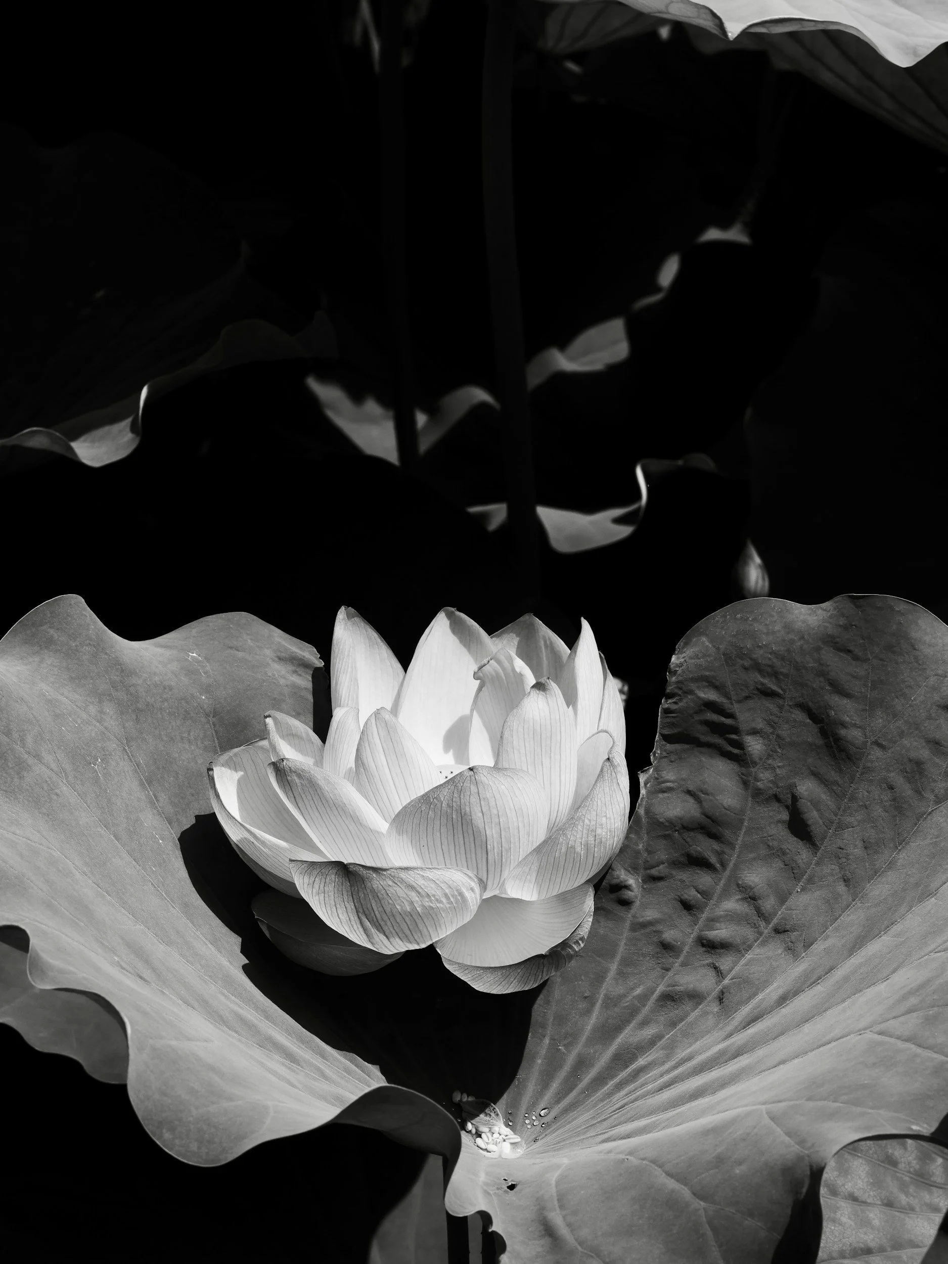 What is psychosexual therapy?