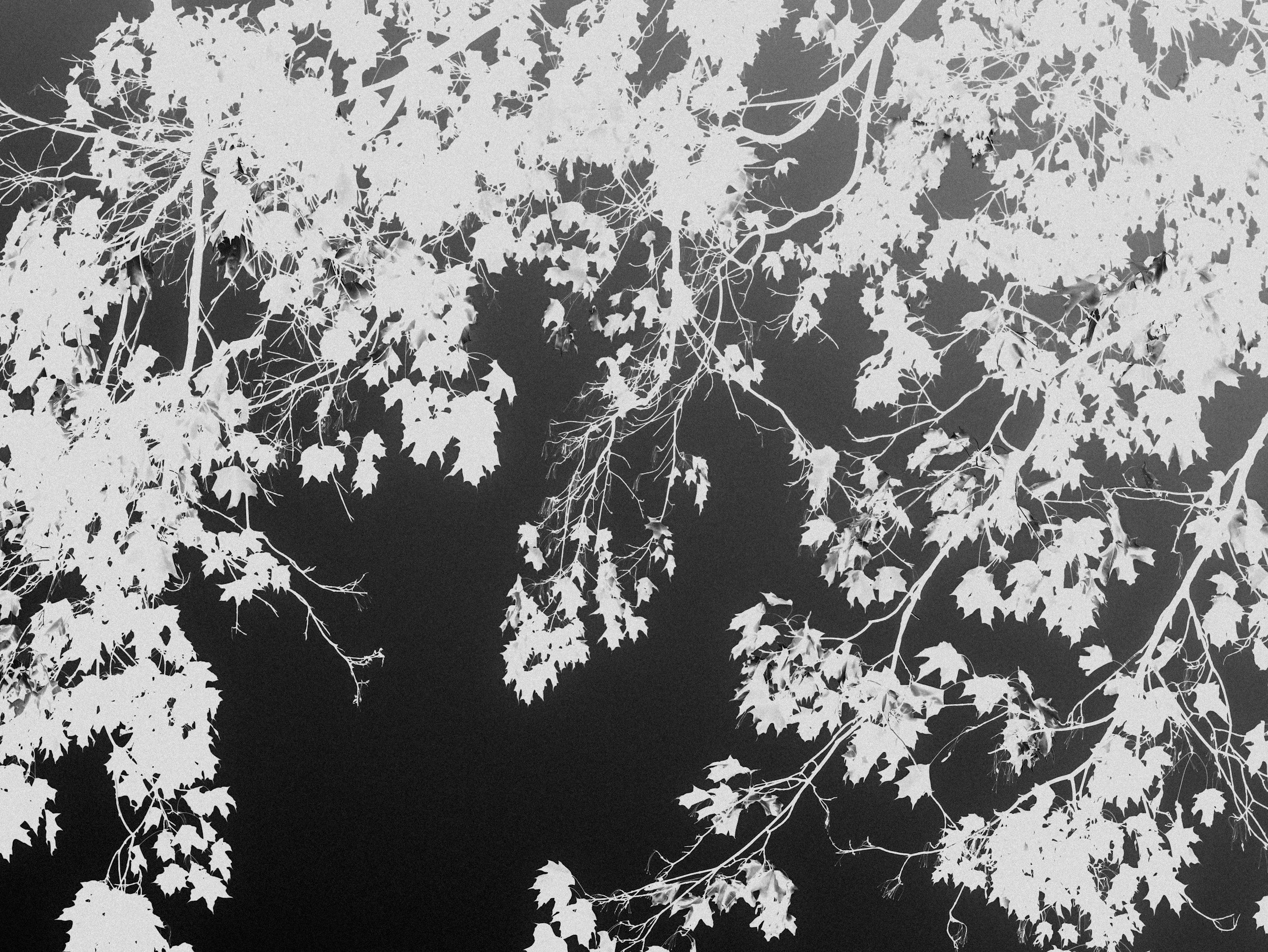 How to choose the right therapist