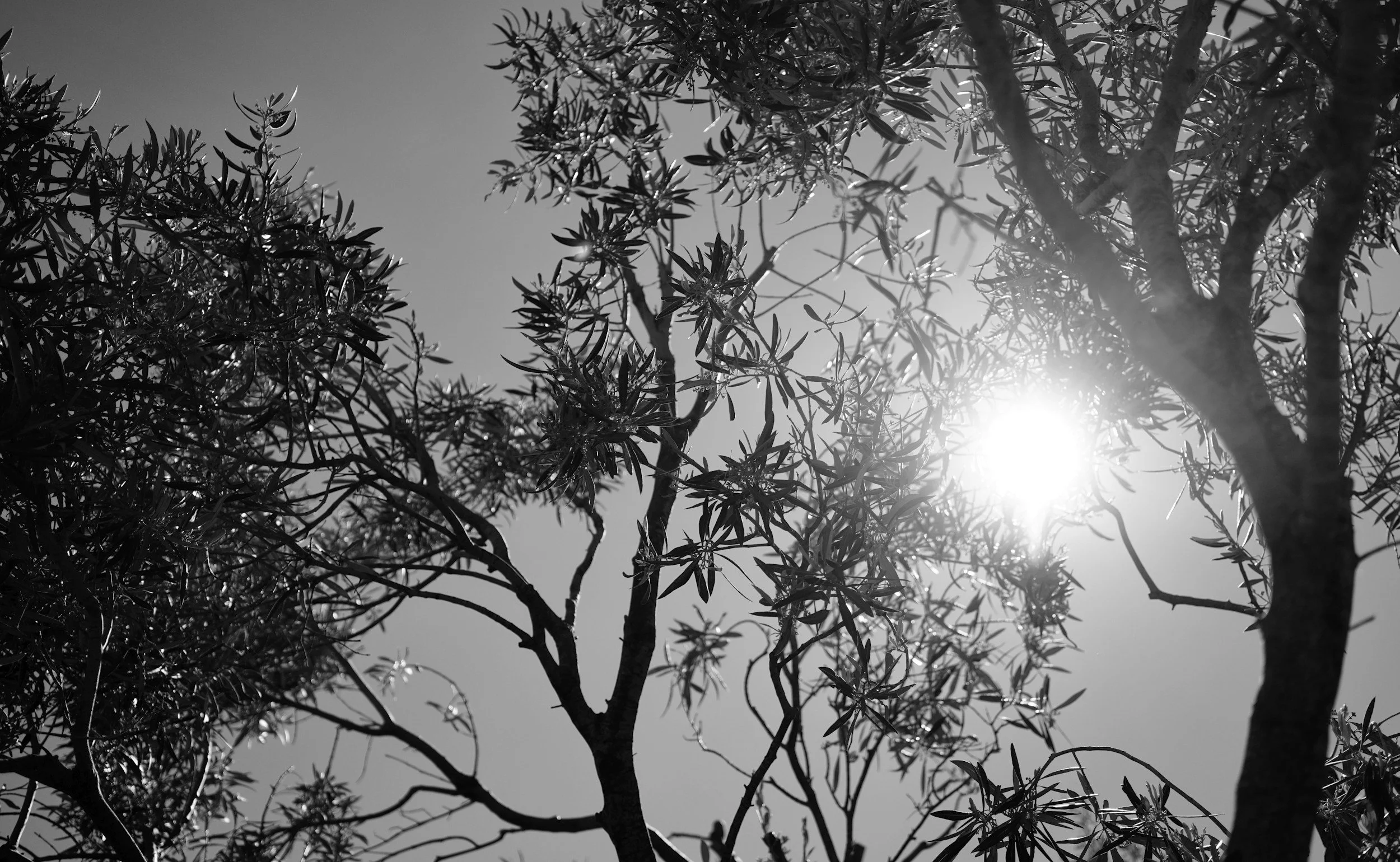 The Quiet Burnout: When You’re Functioning but Exhausted