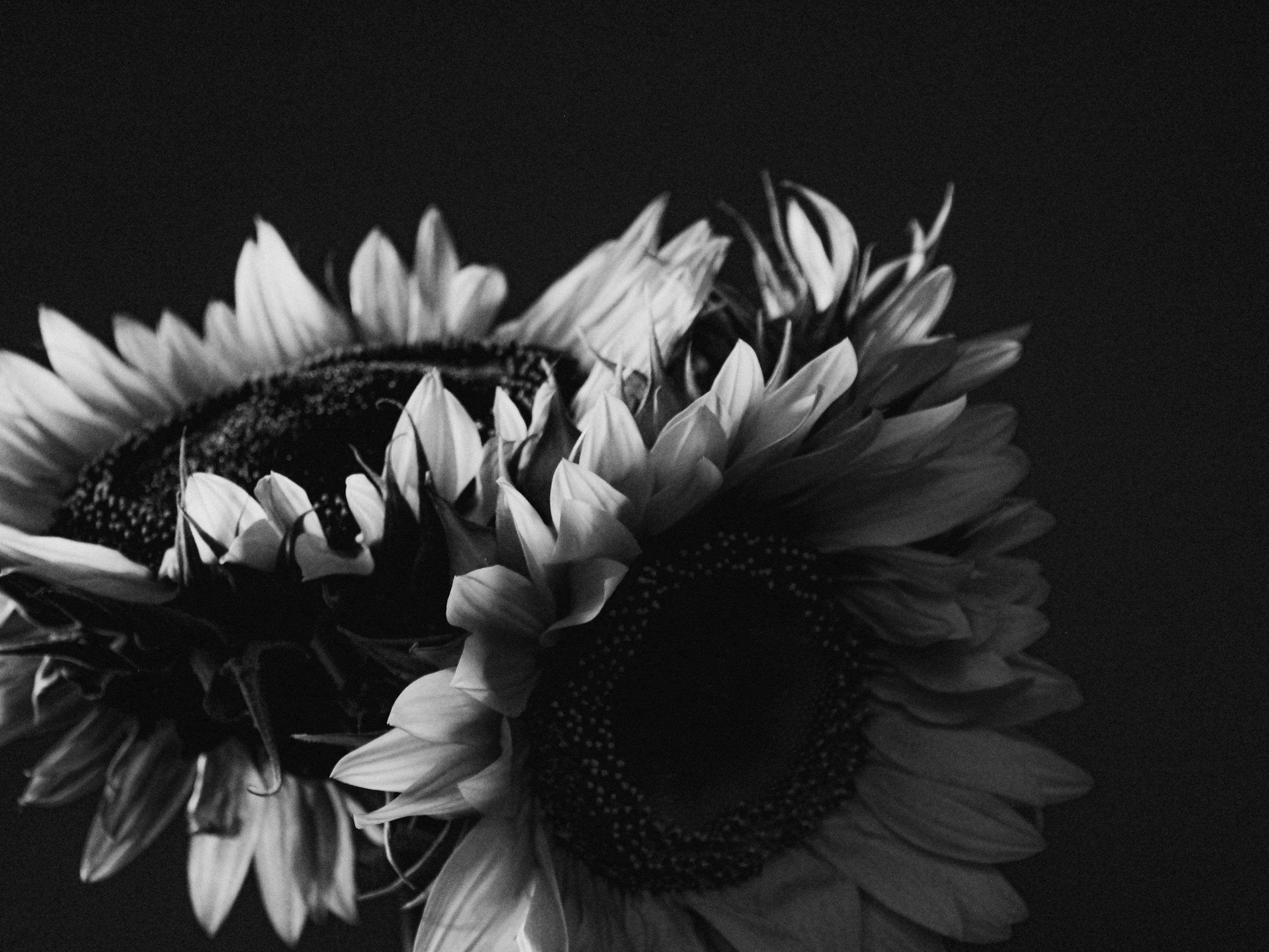 You’re Not Too Much: Reclaiming Emotional Space in Therapy