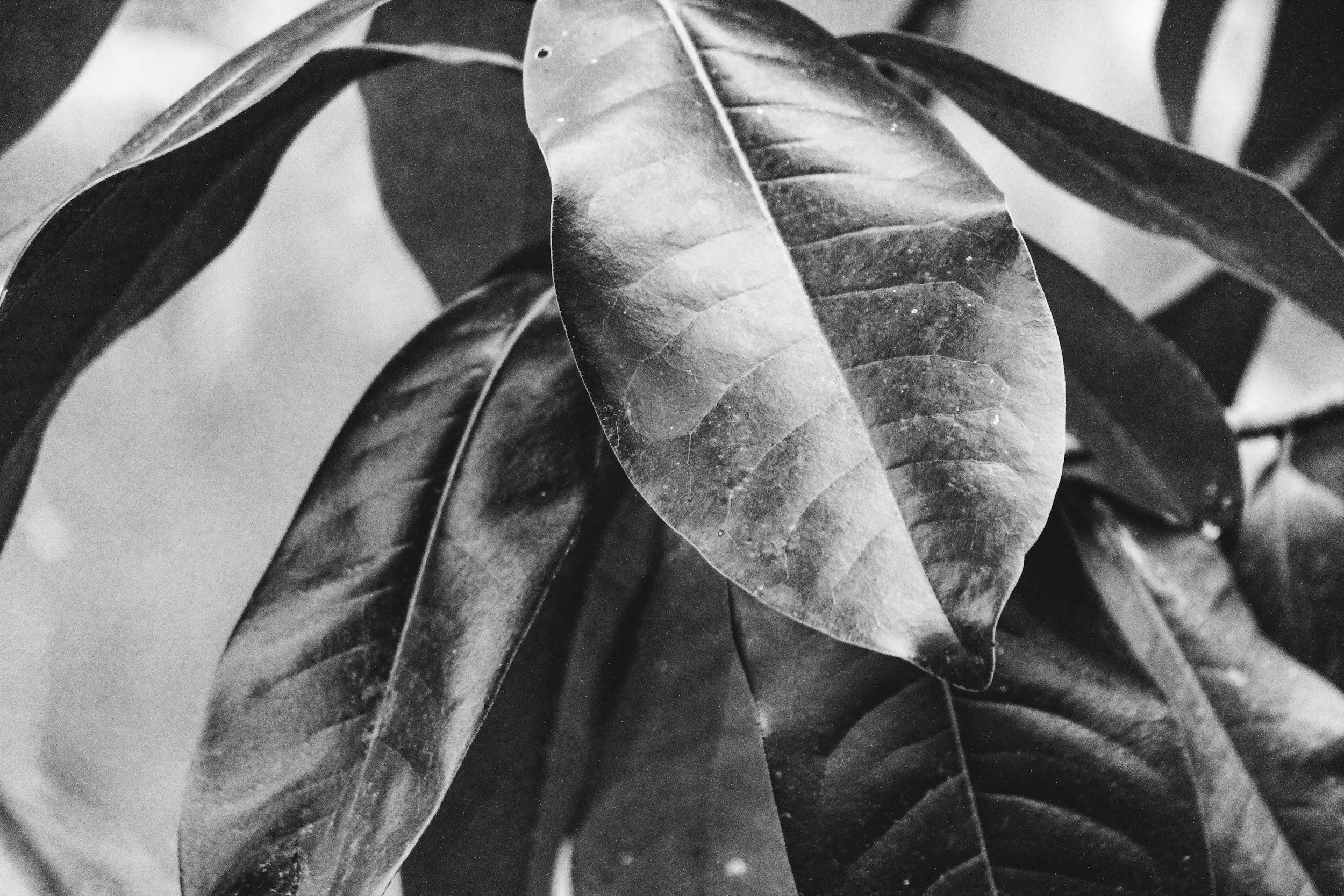 What to Expect in Your First Therapy Session