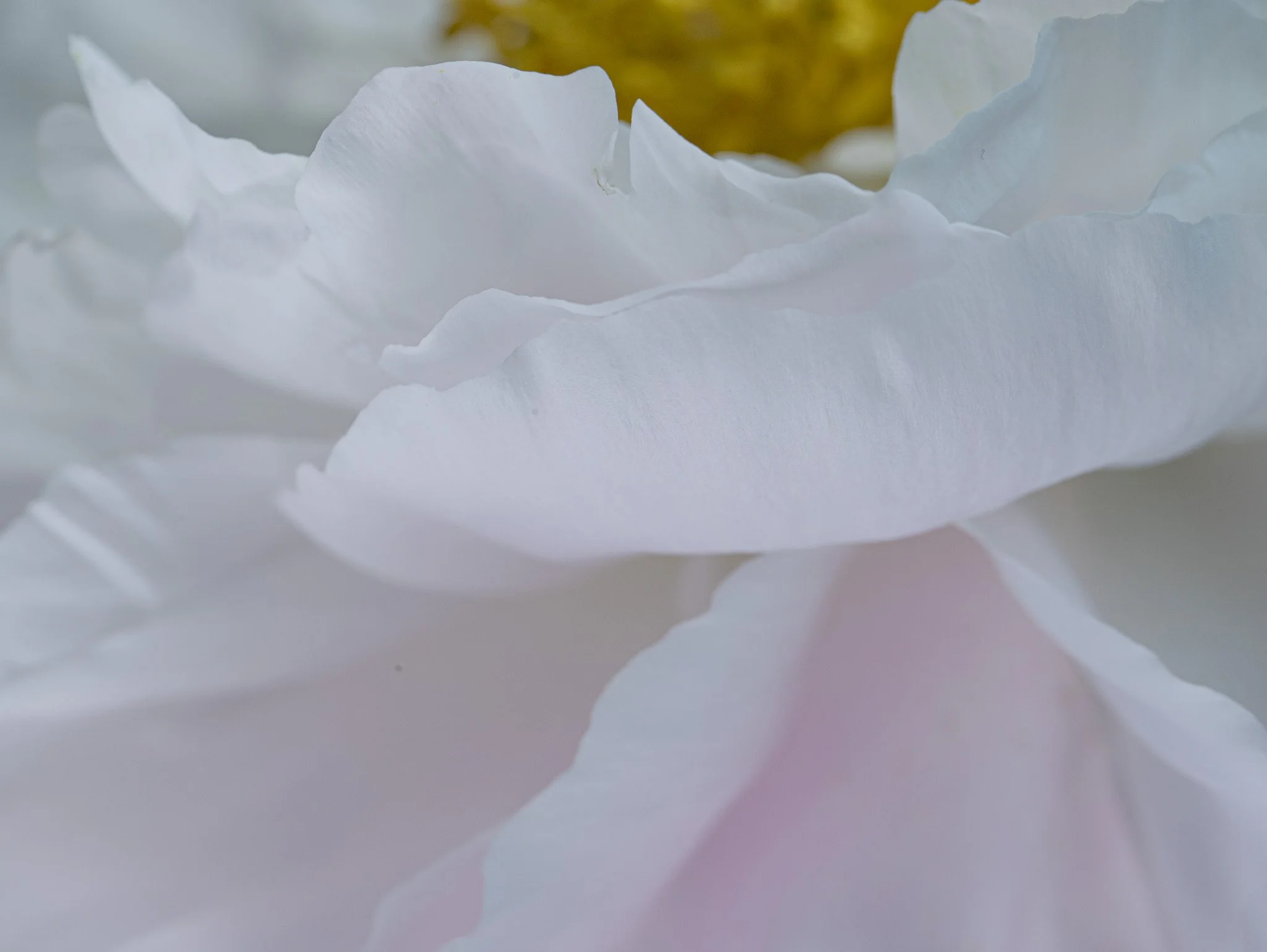 Ways to Work With Me in 2026