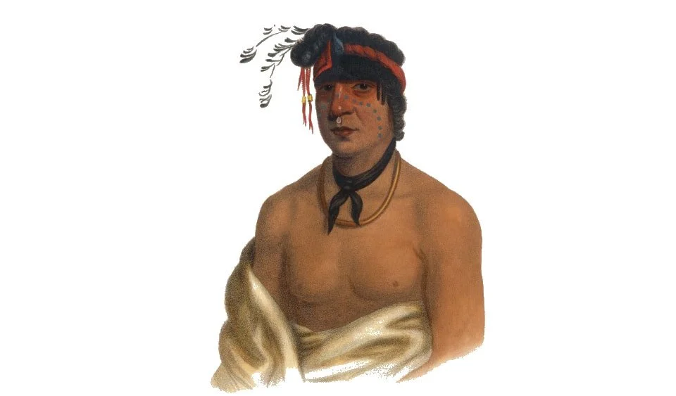 Ozaawindib