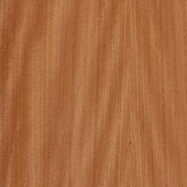 Brushbox