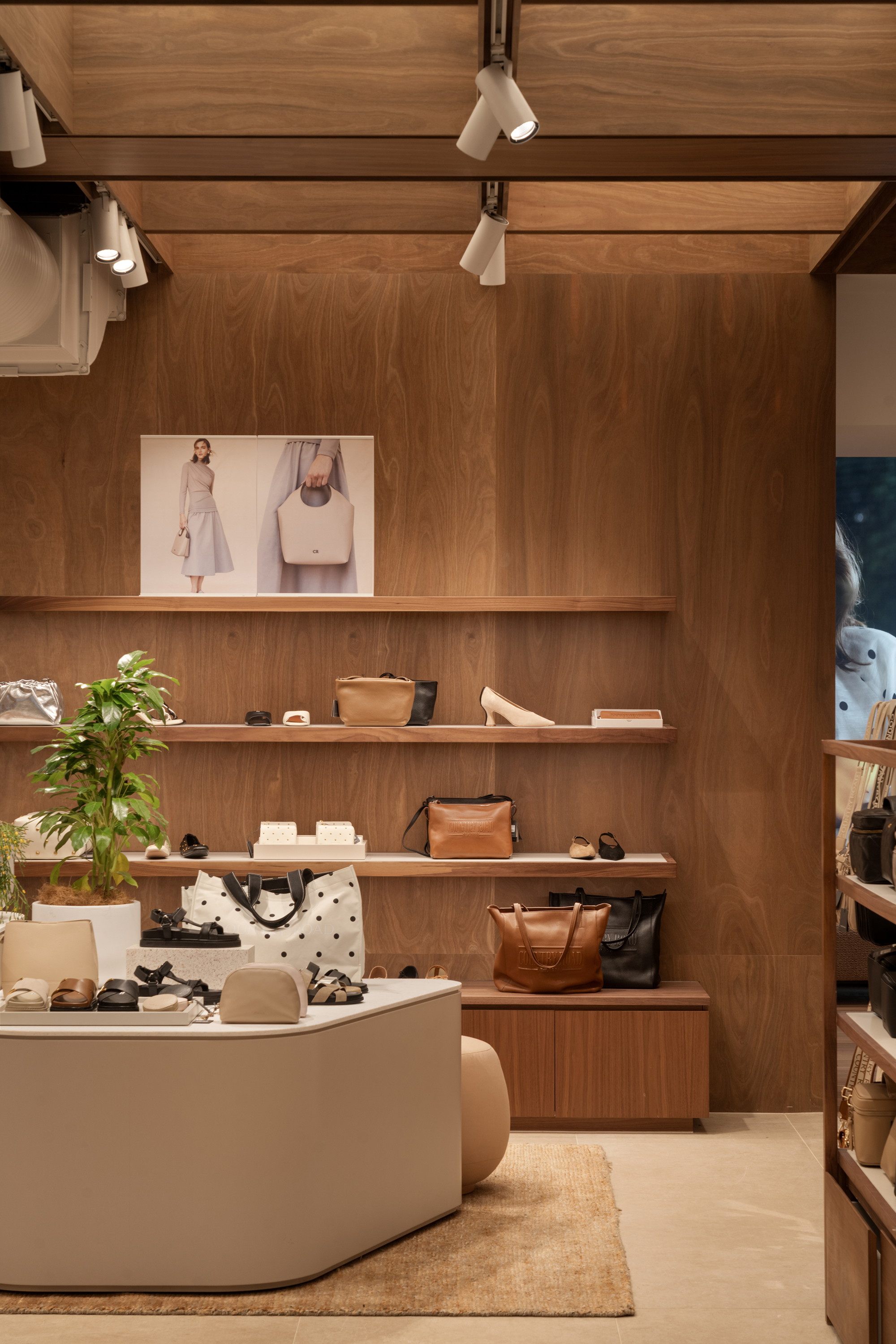 Retail interior featuring ArmourCab® Australian hardwood joinery panels for shelving and wall applications