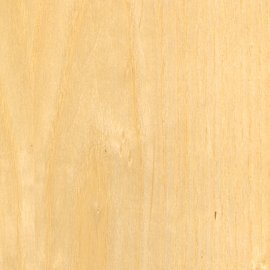 European Ash