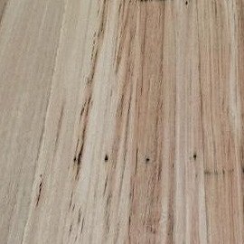 Backhole Blackbutt