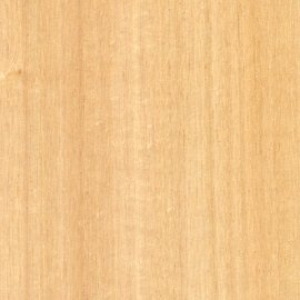 Tasmanian Oak
