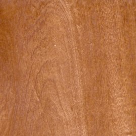 Sapele