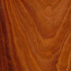 Jarrah