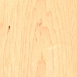 Rock Maple