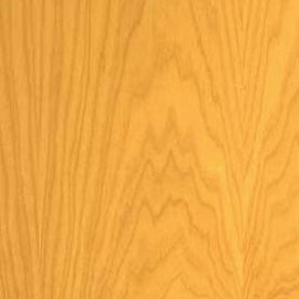 European Birch