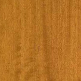 Queensland Maple