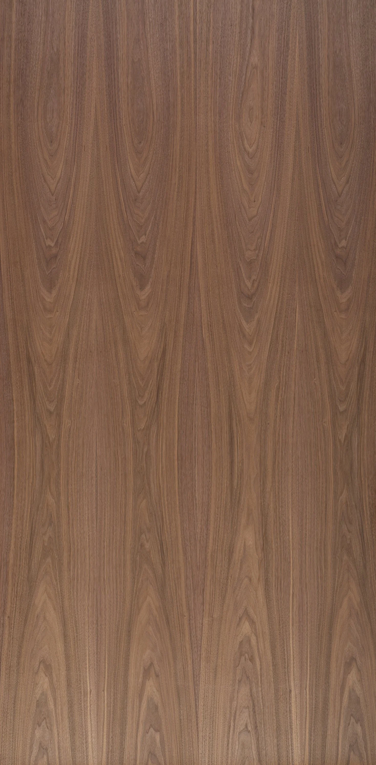 American Walnut Crown Cut