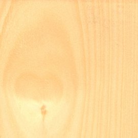 Hoop Pine