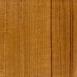 Teak