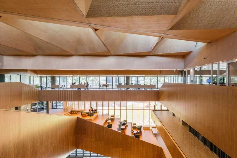 Commercial ceiling panels finished in Hoop Pine interior plywood