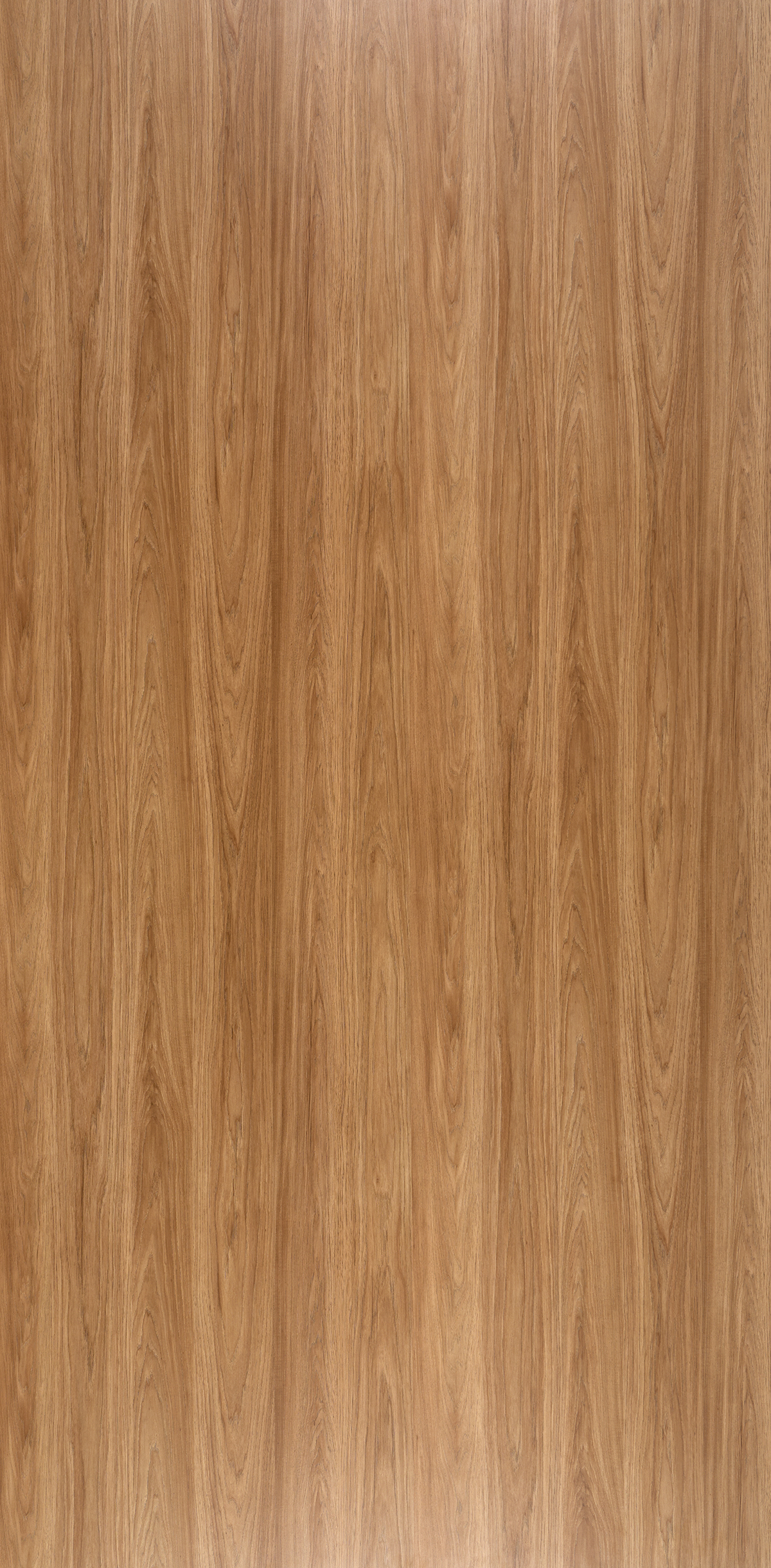 Origin Oak - Matte & Woodgrain Finish