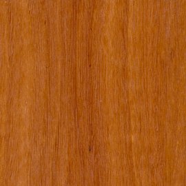 Sydney Blue Gum