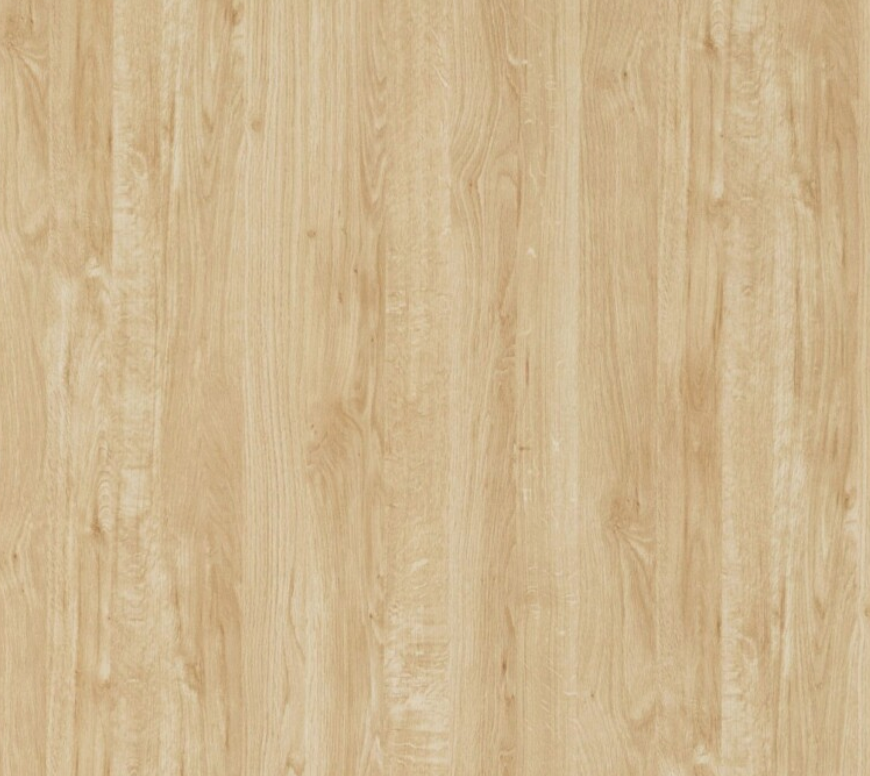 Brunswick Oak