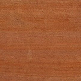 Tasmanian Myrtle